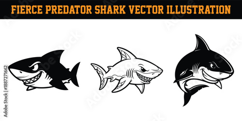Fierce predator shark vector illustrations in various styles and colors  marine animals with sharp teeth and fins swimming sideways
