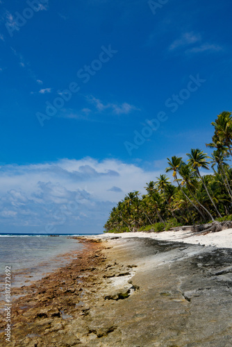 Wallpaper Mural Fuvahmulah island showcases coastline with trees, sand, and sky on a sunny day in Asia Torontodigital.ca