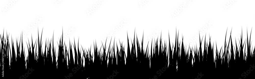 Fototapeta premium Meadow silhouette with grass, plants on plain. Panoramic summer lawn landscape with herbs, various weeds. Herbal border, frame element. Black horizontal banners. Vector illustration