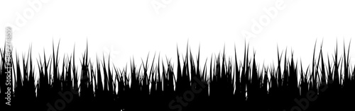 Meadow silhouette with grass, plants on plain. Panoramic summer lawn landscape with herbs, various weeds. Herbal border, frame element. Black horizontal banners. Vector illustration
