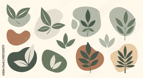 Minimalist Botanical Shapes