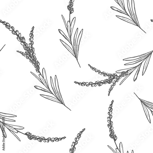 Ink illustration seamless pattern with lavender branches and flowers, hand drawn graphic line art for wellness branding, beauty packaging, textile design or natural cosmetics projects.
