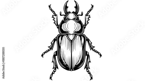 High-contrast black-and-white illustration of a beetle with prominent horns and segmented exoskeleton