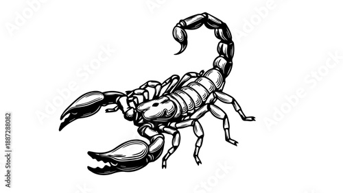High-contrast black-and-white illustration of a detailed 3D scorpion with segmented body and sharp stinger