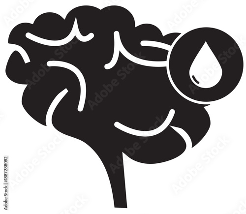 Brain Health and Hydration The Essential Connection