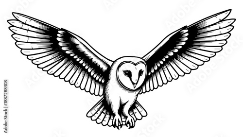 Black and white illustration of an owl in mid-flight with extended wings and detailed feathers