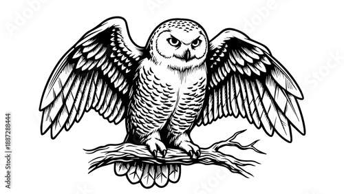 Black and white illustration of an owl perched on a diagonal branch with wings spread