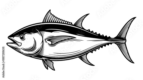Anatomically accurate black-and-white illustration of a tuna side profile