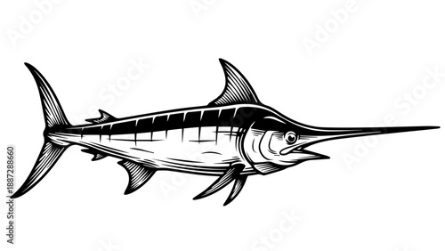 Black and white illustration of a billfish in side-profile swimming to the right