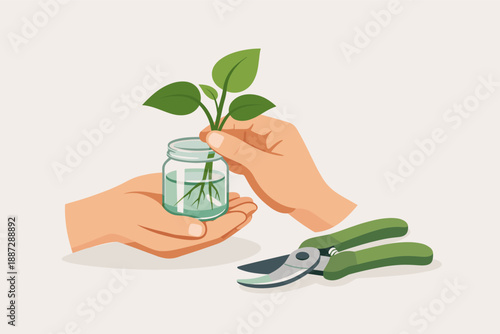 Hands holding plant cutting in jar with pruning shears for gardening propagation