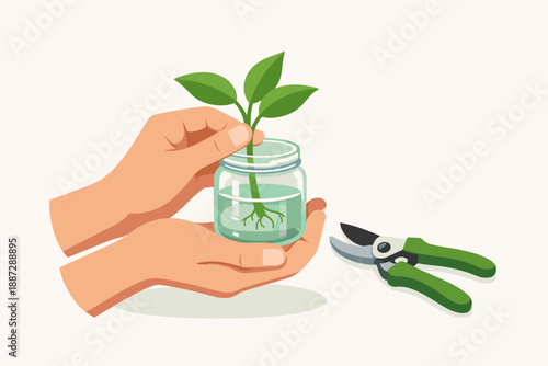 Hands holding plant in jar for propagation with gardening shears