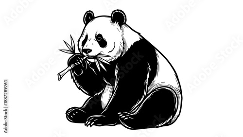 Seated panda eating bamboo stalks in black and white illustration