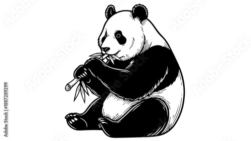 Black and white illustration of a panda eating bamboo