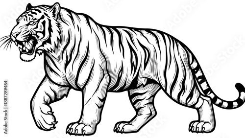 Black and white line drawing of a tiger in mid-stride with mouth open