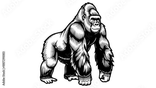 Black and white illustration of a gorilla in a dynamic pose