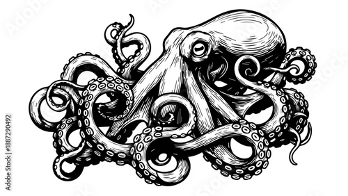 High-contrast black-and-white illustration of an octopus with tentacles spread