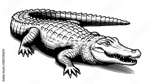 Dynamic monochromatic illustration of a powerful alligator with sharp teeth and textured scales