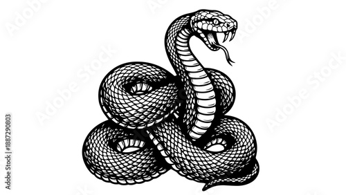 Coiled snake illustration with intricate scales on a light gray background