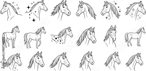 Collection of horse head illustrations from various viewpoints showcasing different mane styles and expressions