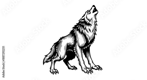 Black and white illustration of a wolf howling with detailed fur texture