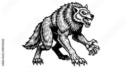 Black and white illustration of a wolf in a predatory stance