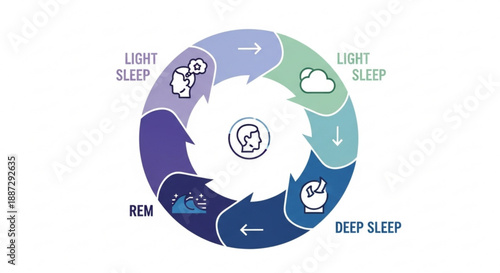 Sleep cycle stages infographic light deep rem sleep patterns