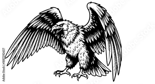 Black and white illustration of an eagle in mid-flight with wings extended