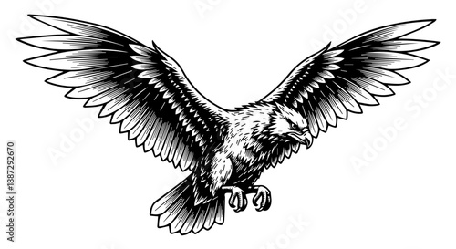 Black and white illustration of an eagle in mid-flight with extended wings and talons