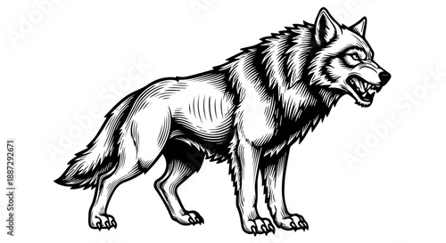 Black and white illustration of a wolf in a dynamic pose