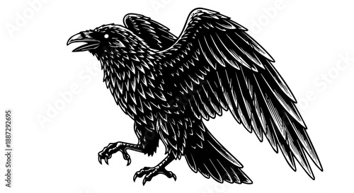 Black and white illustration of a bird of prey in mid-flight with extended wings and talons