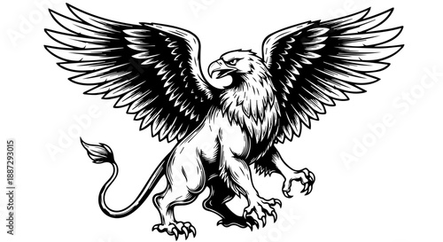 Engraved griffin mythical creature illustration isolated