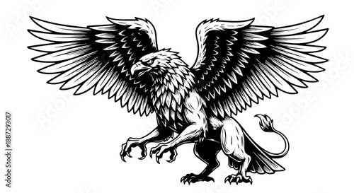 High-contrast black and white illustration of a mythical griffin with extended wings and outstretched talons