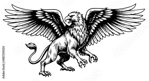 Mythical griffin illustration in dynamic mid-action pose with intricate feather detailing