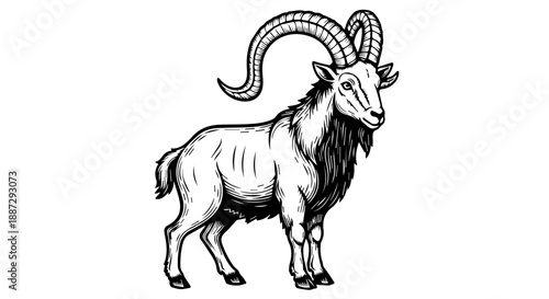 Majestic goat illustration with large curved horns and woolly coat in black and white