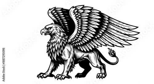 High-contrast black-and-white illustration of a mythical griffin with wings extended