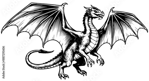 Black and white illustration of a dragon in mid-flight with extended wings and fierce expression
