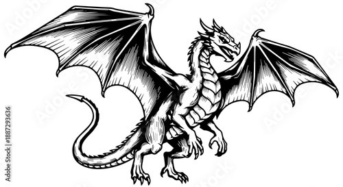 Black and white illustration of a majestic dragon with spread wings and detailed scales