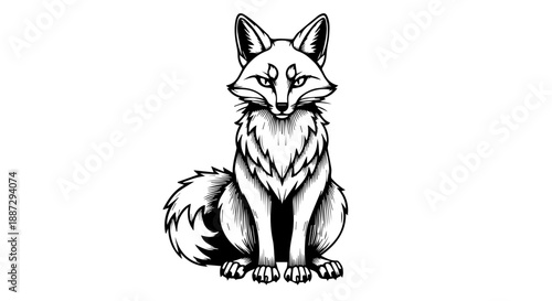 Black and white line drawing of a seated fox with attentive expression