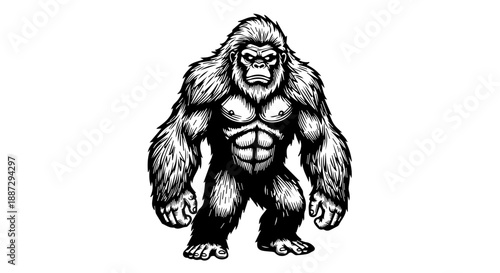 Muscular gorilla standing upright in a powerful stance, black and white illustration
