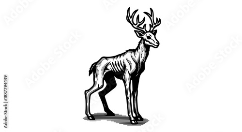 Black and white illustration of a majestic deer with antlers in a three-quarter profile