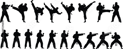 Silhouette martial arts sequence showing high kicks, punches, defensive stances, weapon techniques, MMA, Judo, and traditional combat trainingSilhouette martial arts sequence showing high kicks,