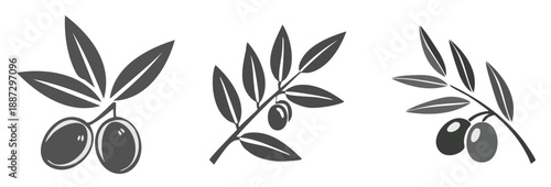 Olive Branch Ensemble: Three elegant depictions of olive branches, showcasing the delicate interplay of leaves and fruit in a timeless design. 