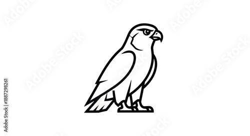 Black outline image of a hawk in profile on a white background, appearing to look off-screen
