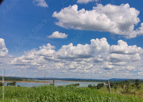 sky and grass