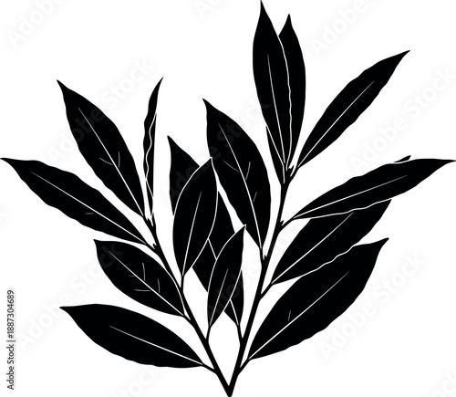 Black silhouette of a small branch with elongated leaves, botanical illustration