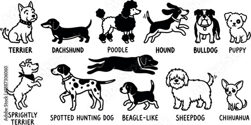 Whimsical kids doodle lineup of labeled dog breeds in black and white close up illustration with playful poses and eye contact