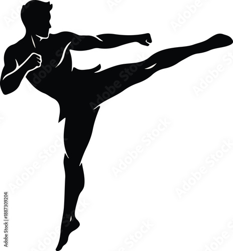 Black silhouette of a male martial artist performing a dynamic high side kick against a white background, representing strength and agility.