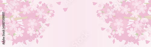 Cherry Blossom Background Banner. Sakura Flowers Frame