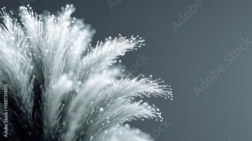 Wallpaper Mural Delicate Frosted Plant Close-Up with Soft Blurred Background, Creating an Ethereal and Serene Atmosphere for Art and Nature Photography Torontodigital.ca