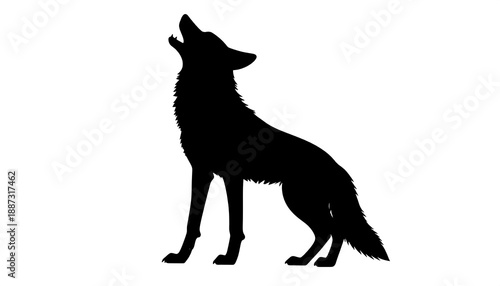 Silhouette of a Howling Wolf Against White Background.